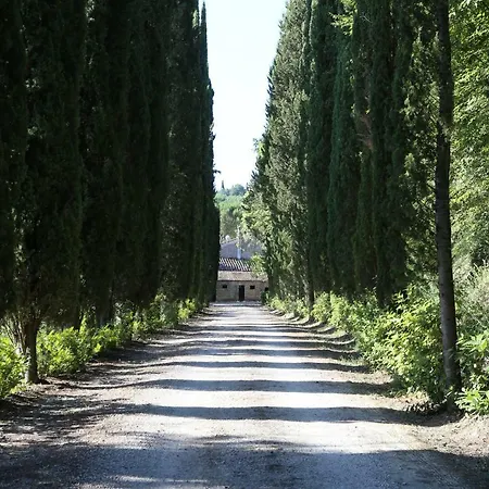 La Viola
