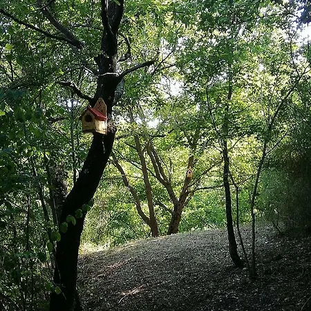 La Viola * Bomarzo