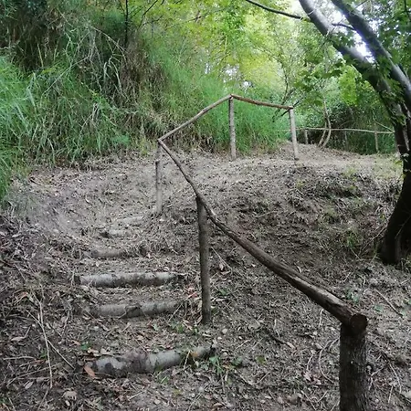 La Viola Bomarzo